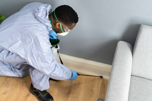 Emergency Pest Control Services in Apison, TN